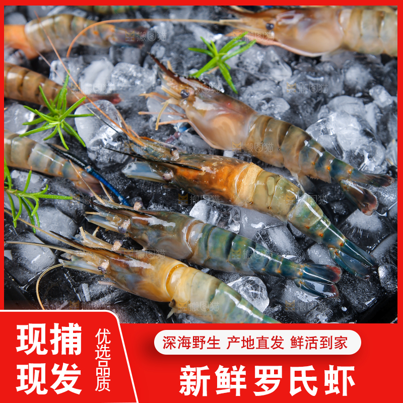 冰冻罗氏虾