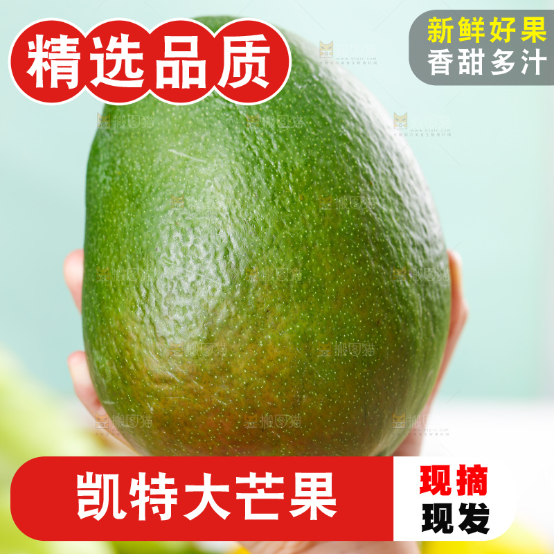 手上捧着凯特芒