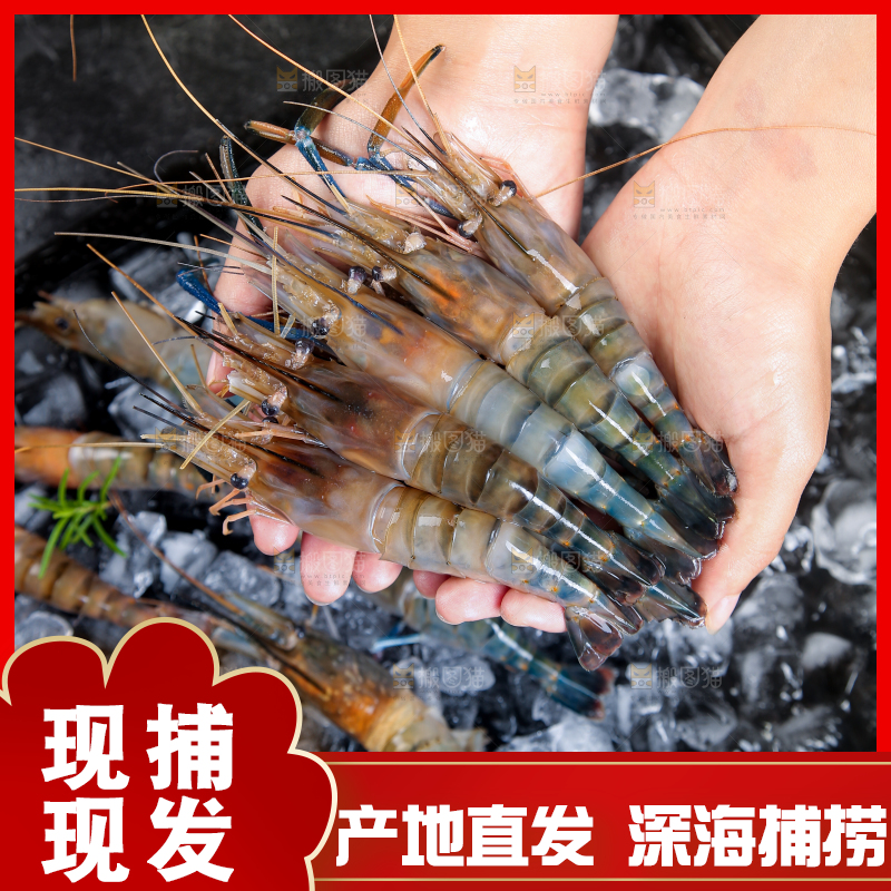 手上捧着罗氏沼虾