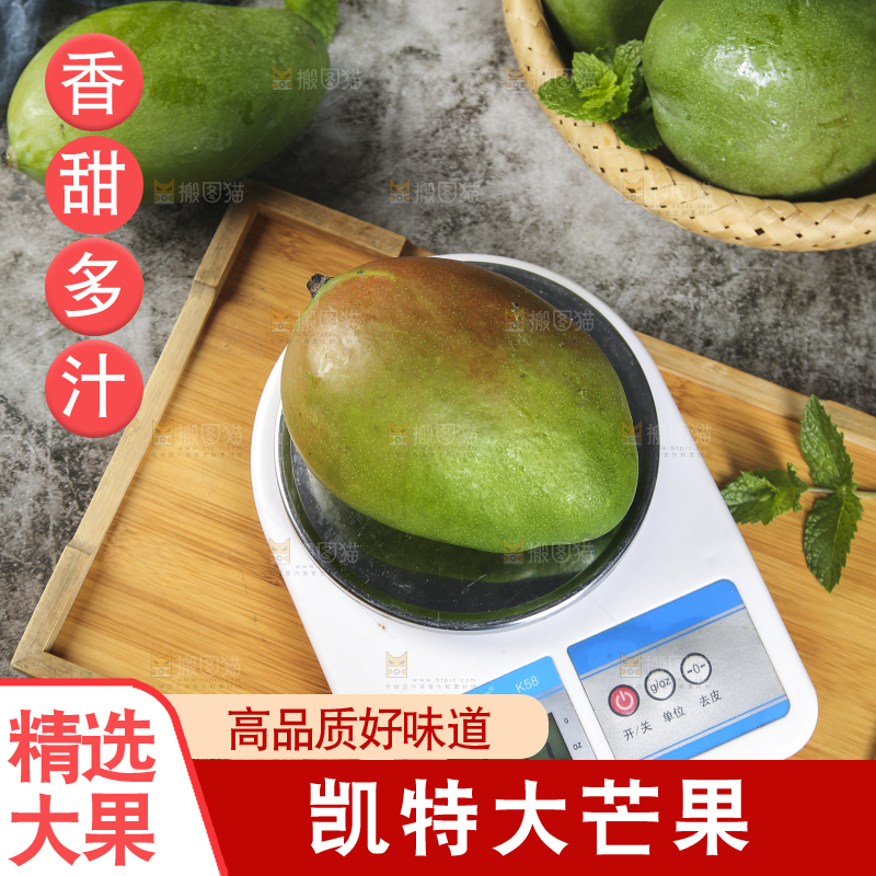 秤上放着的凯特芒