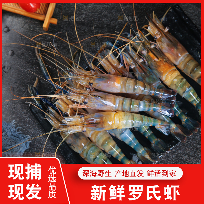 黑底上放着的大头虾