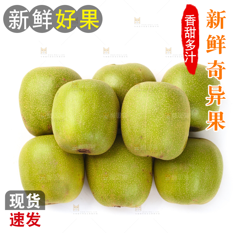 白底上的猕猴桃