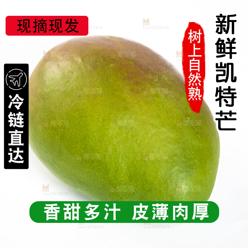 白底上的凯特芒果