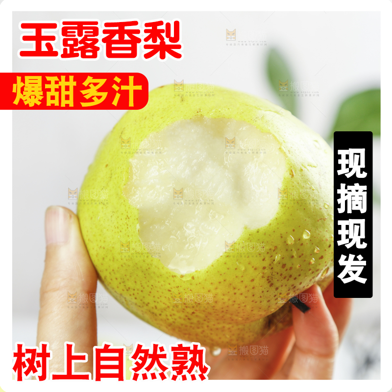 手上拿着的玉露香梨