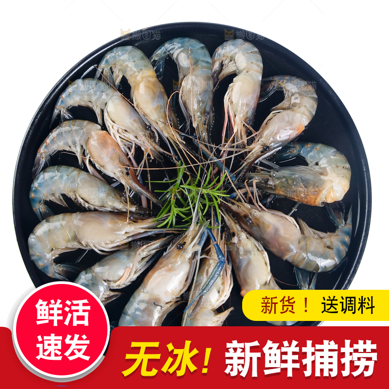 白底上放着一盘大头虾