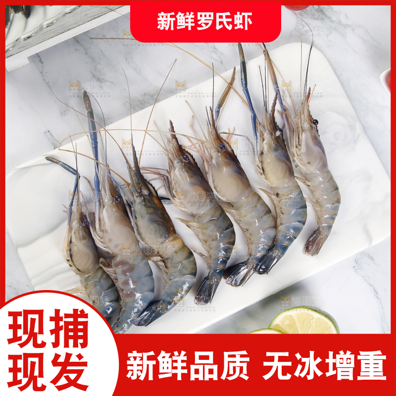 石板上放着罗氏沼虾