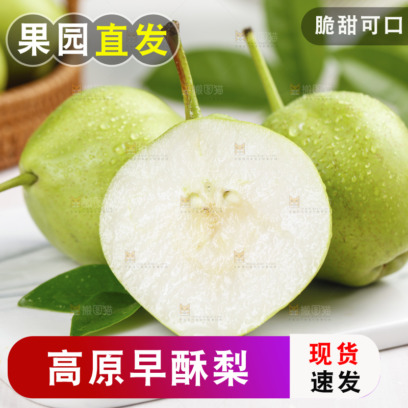 白底上放着陕西早酥梨