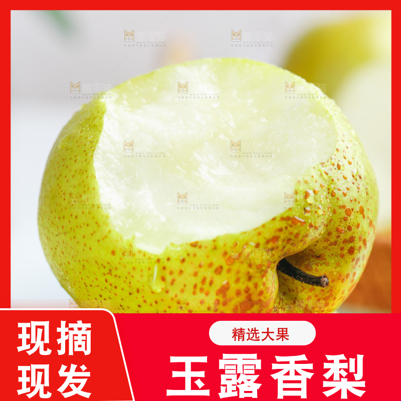 新鲜的山西玉露香梨