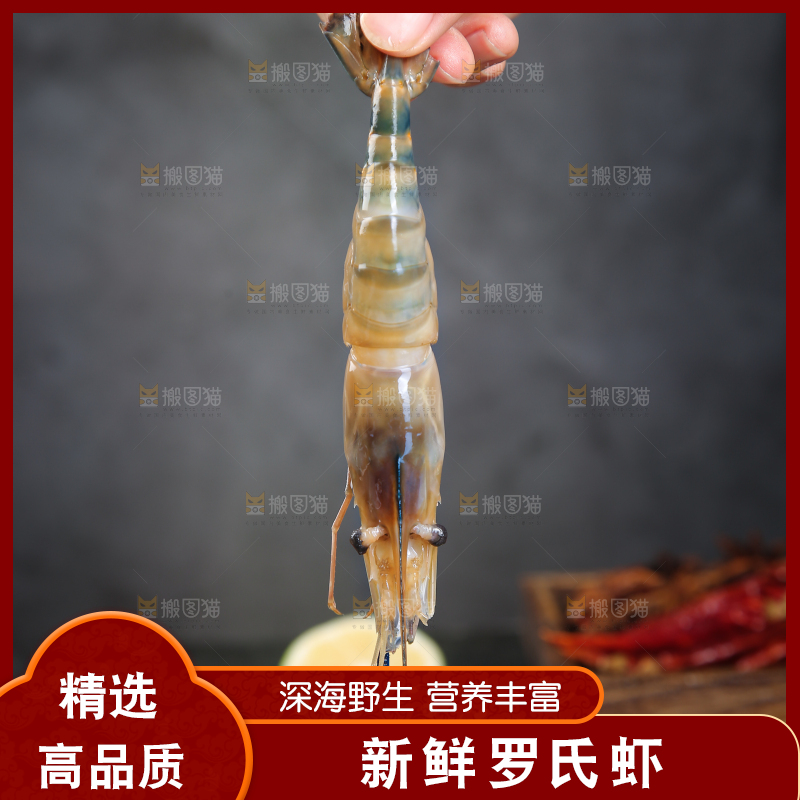 手上拿着的沼虾
