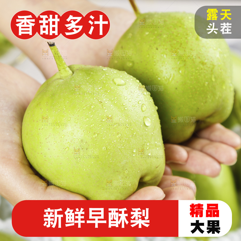 手上捧着早酥梨