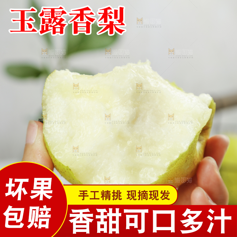 手上拿着的玉露香梨