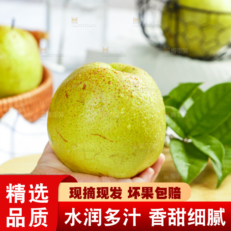 手上拿着的玉露香梨