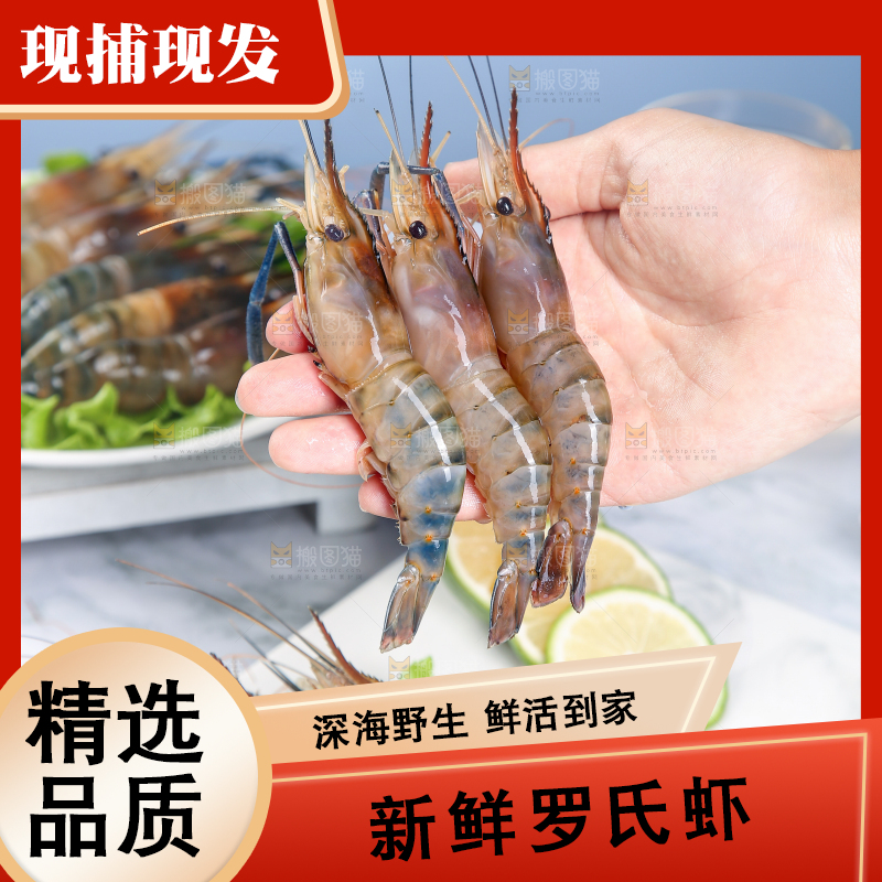 手上拿着罗氏虾