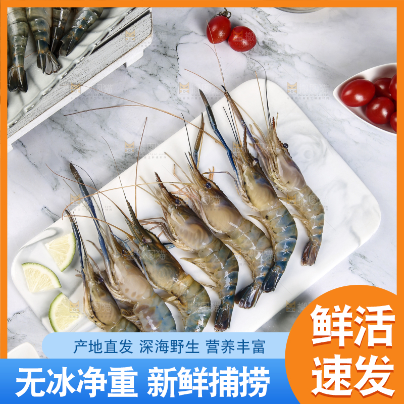 石板上放着罗氏沼虾