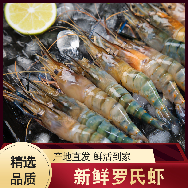 冰冻罗氏虾