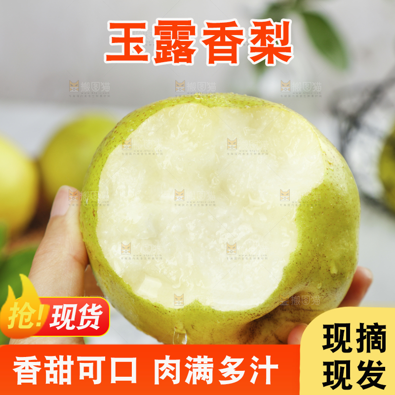 手上拿着的玉露香梨