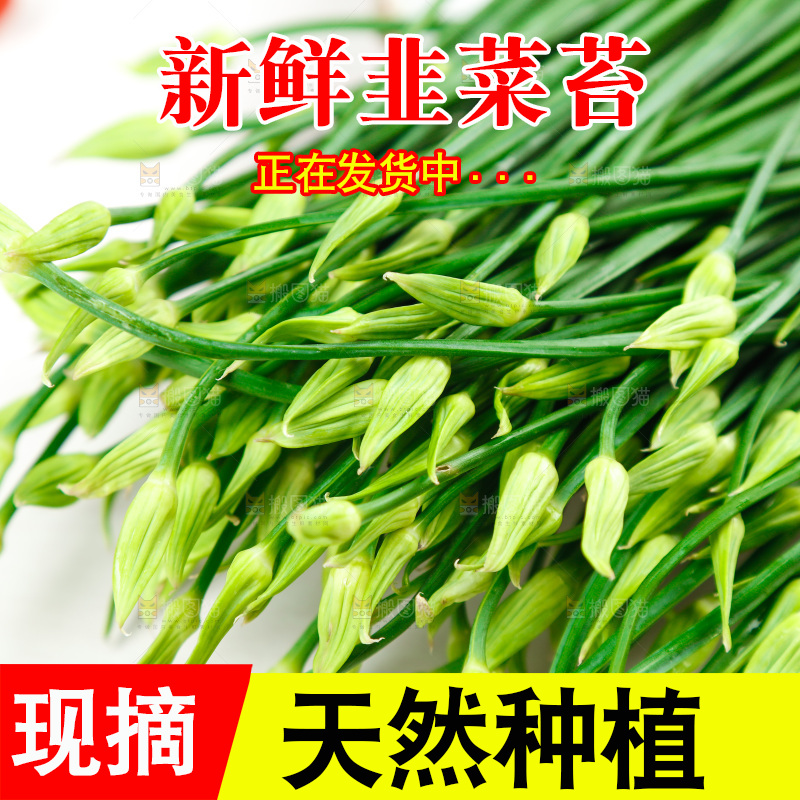 新鲜的韭菜苔