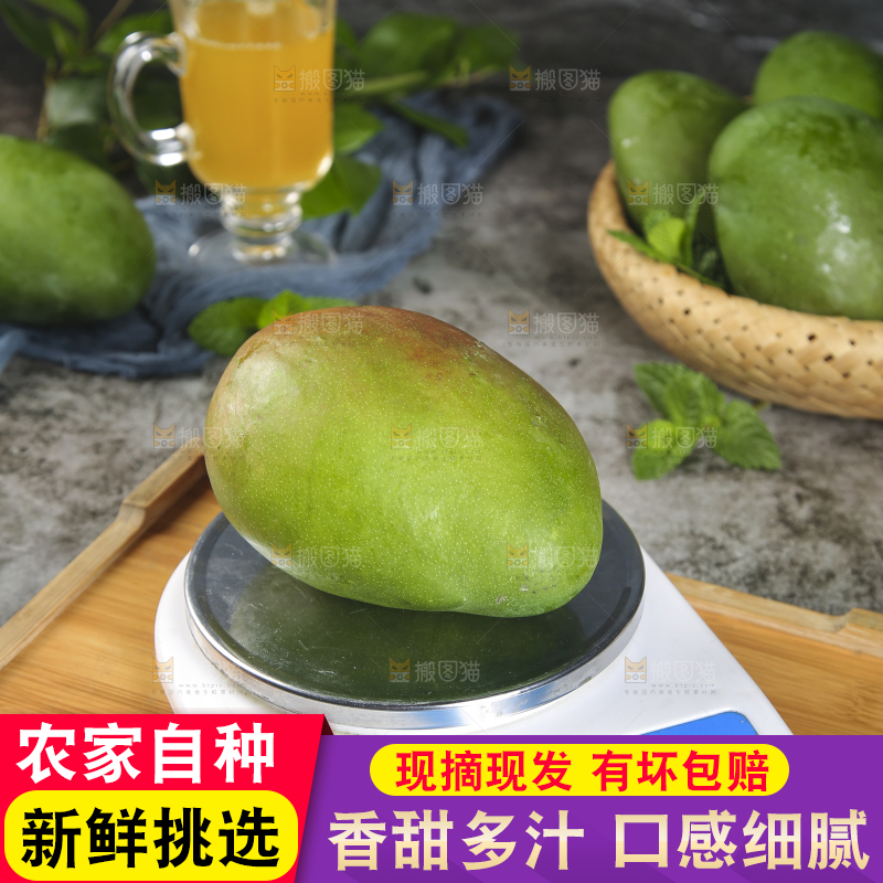 秤上放着的凯特芒