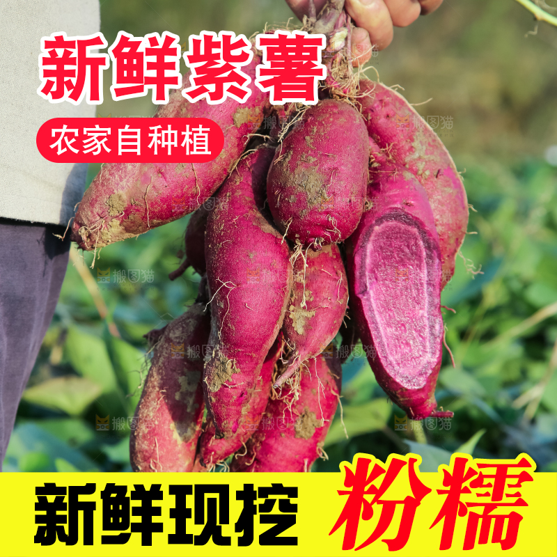 手里拿着一串紫罗兰紫薯