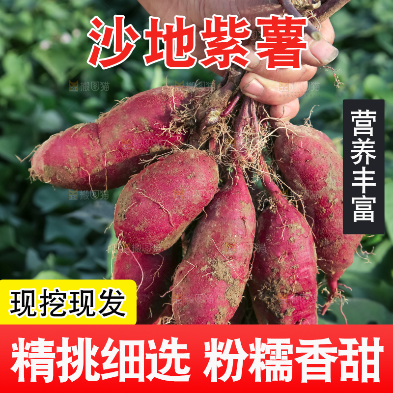 手里拿着一串紫薯