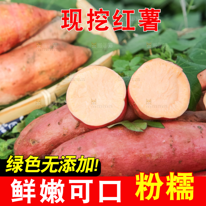 田地里放着切开的黄心红薯