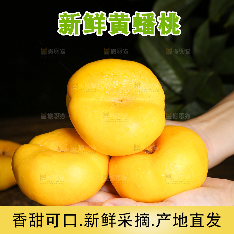 手捧着黄蟠桃