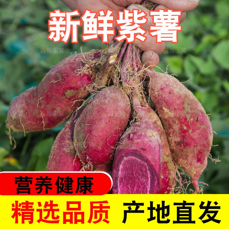 手里拿着一串紫薯