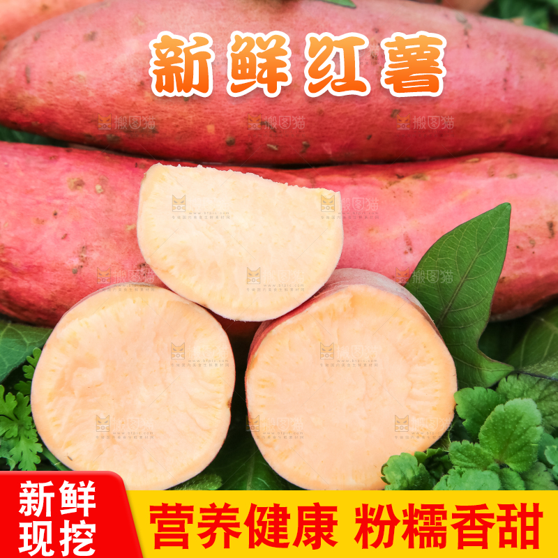 田地里放着切开的黄心红薯