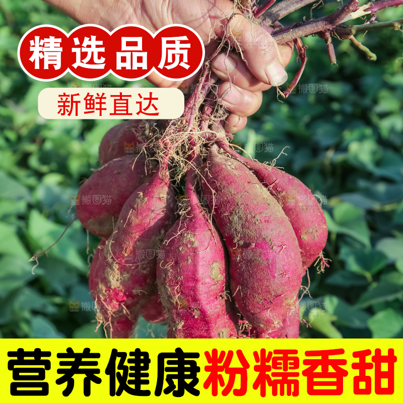 手里拿着一串紫薯