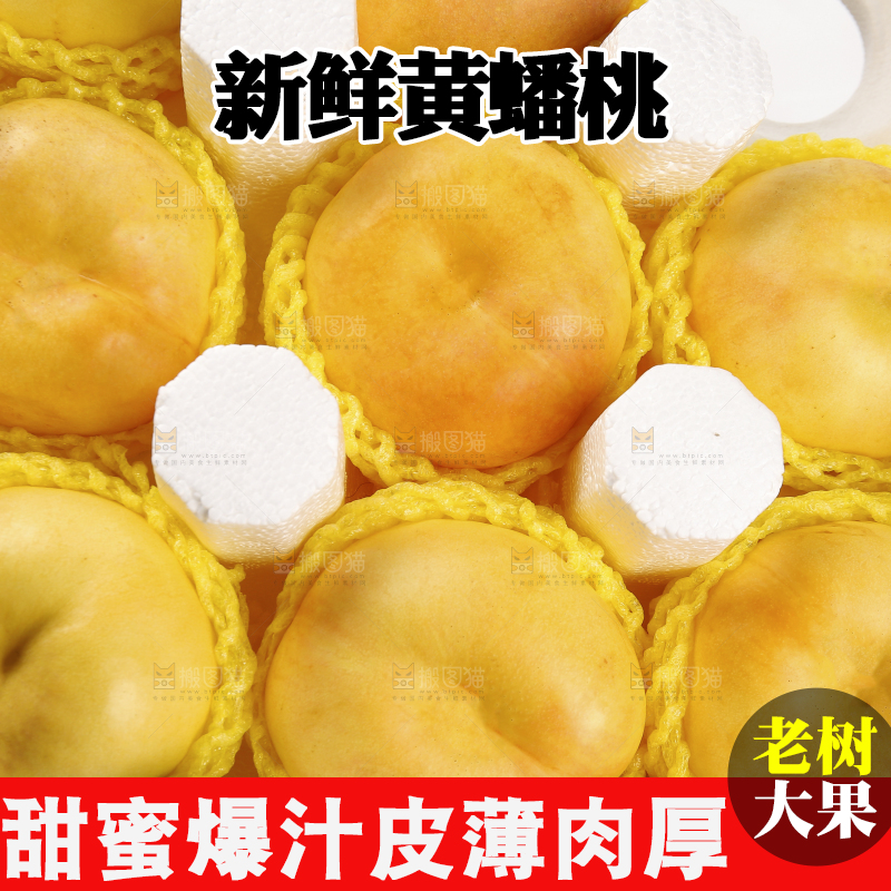 箱子里的黄金油蟠桃