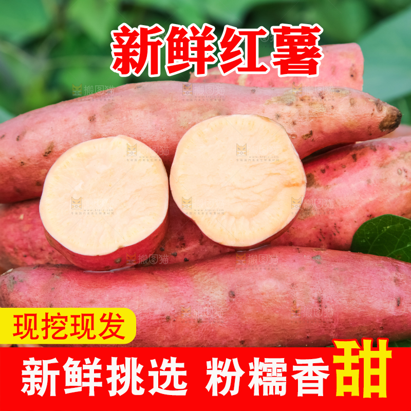 田地里放着切开的黄心红薯