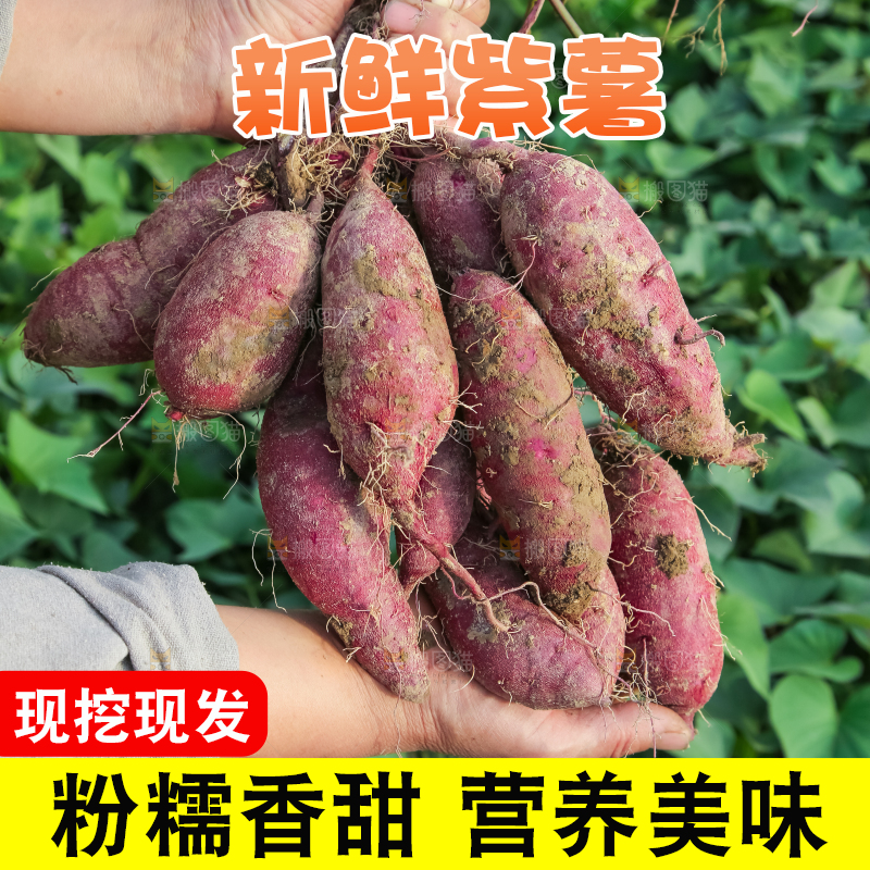 手里拿着一串紫薯