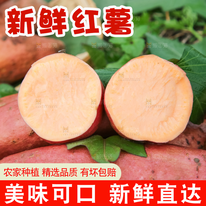 田地里放着切开的黄心红薯