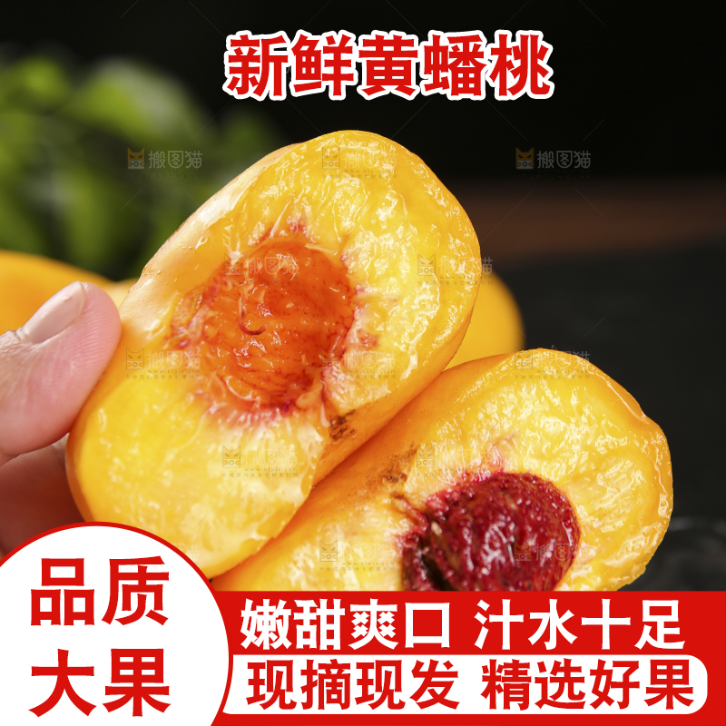 手拿着新鲜黄蟠桃