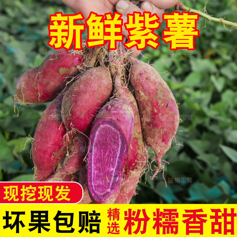 手里拿着一串紫薯