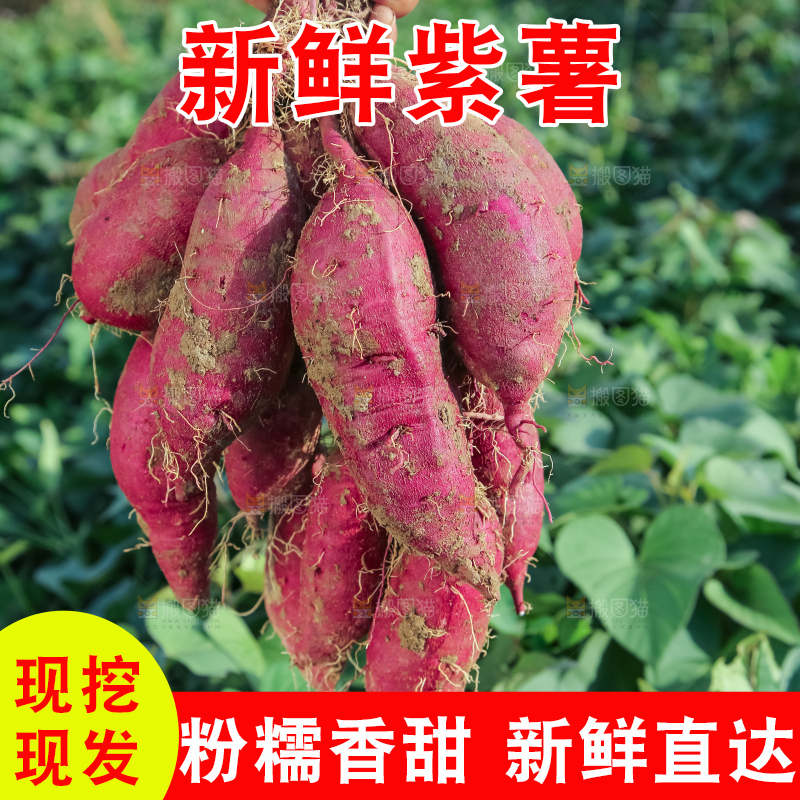 手里拿着一串紫薯
