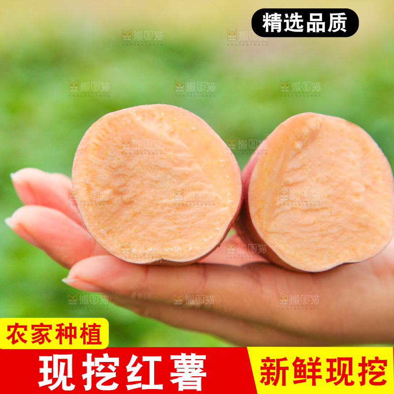 手上拿着切开的红薯