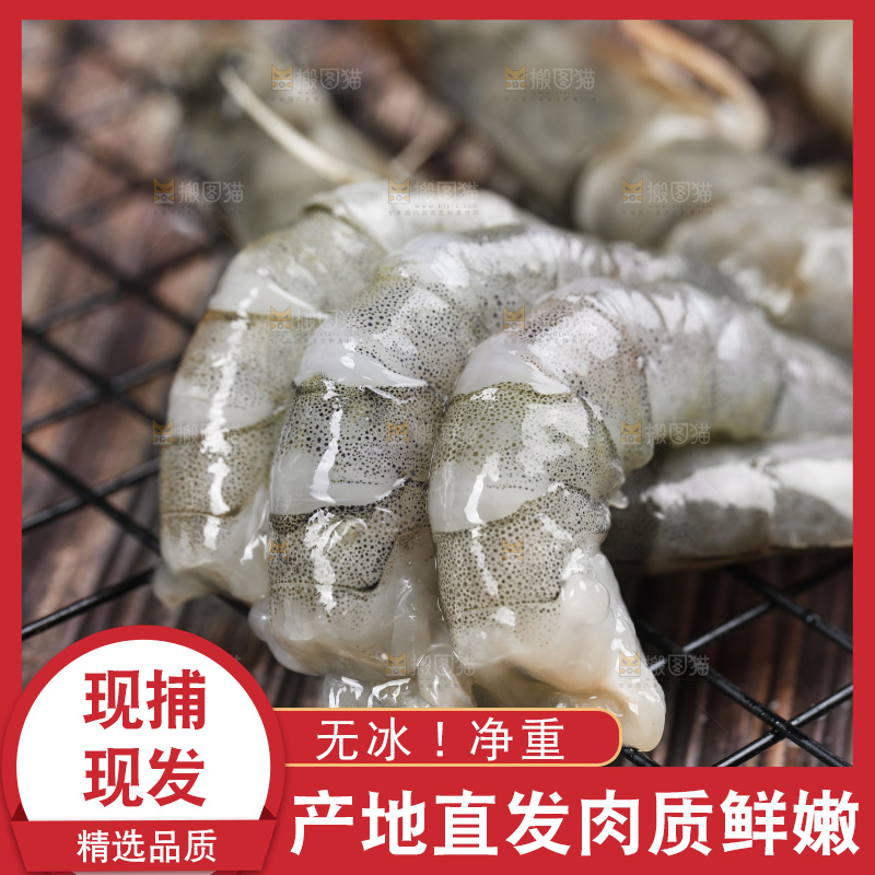 深底上放着青岛对虾