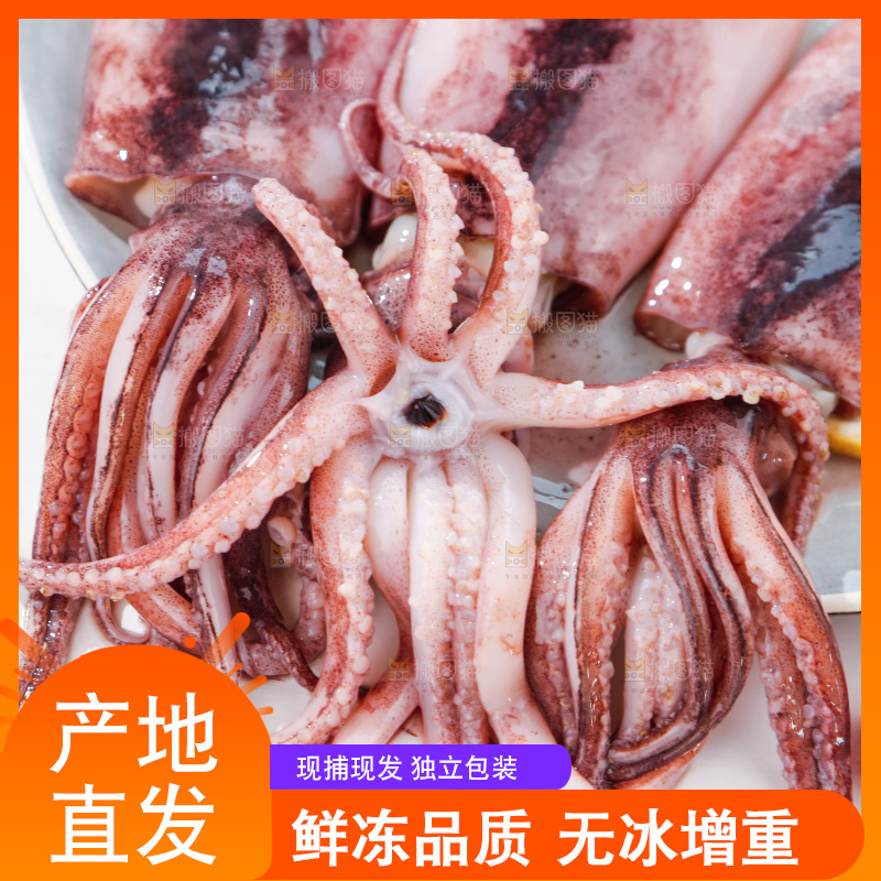 盘子里装着大鱿鱼