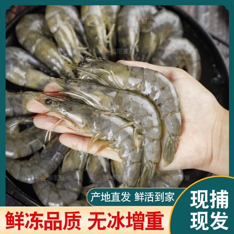 放在手上的对虾