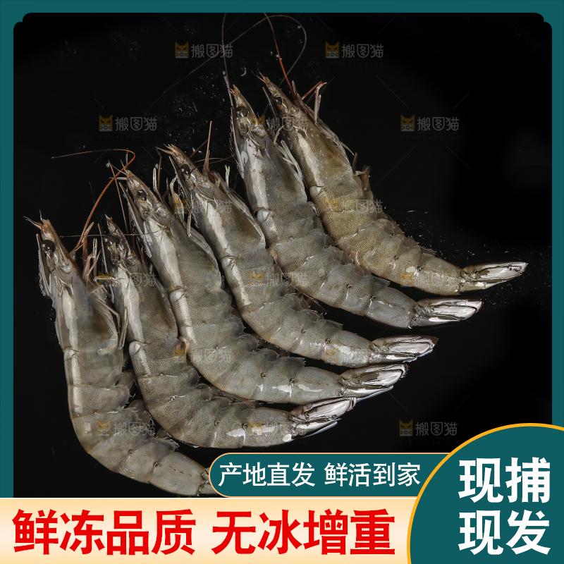 黑底上放着对虾