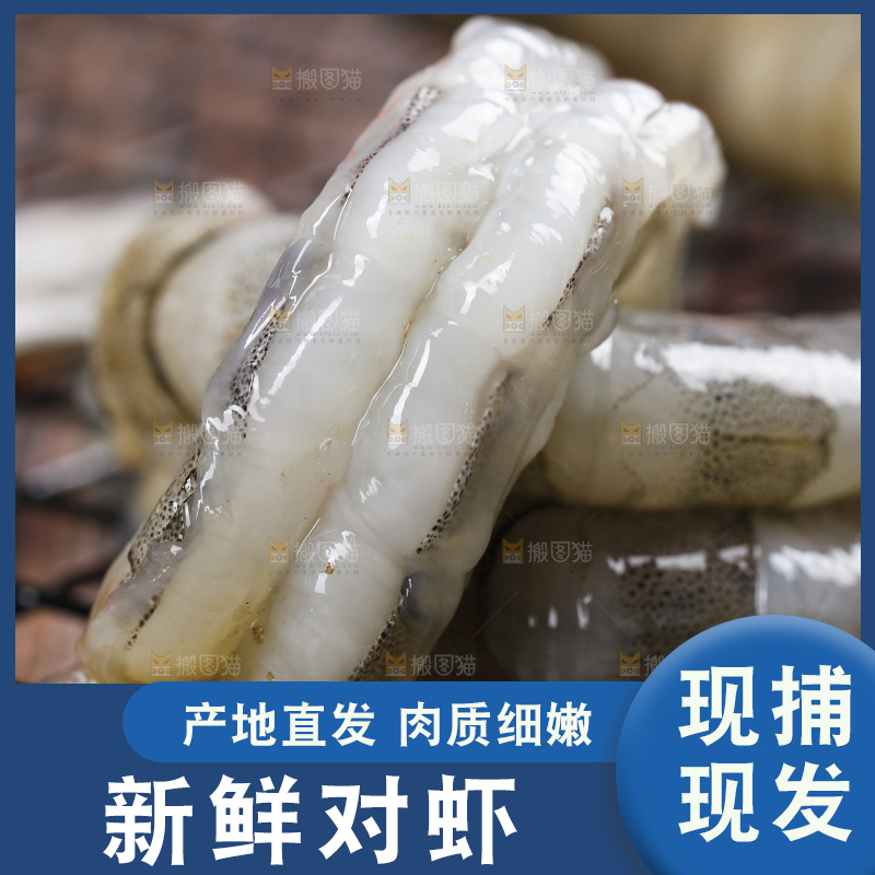 深底上放着青岛对虾