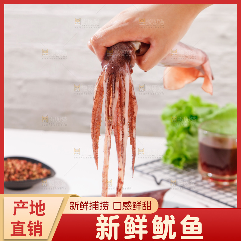 手上拿着大鱿鱼