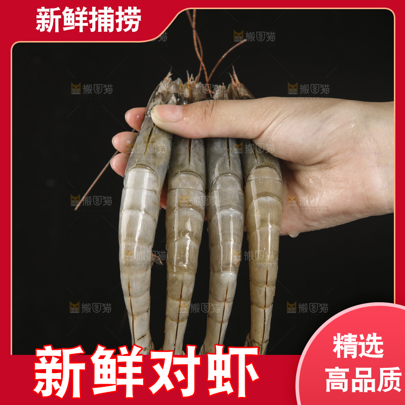 手上拿着南美对虾