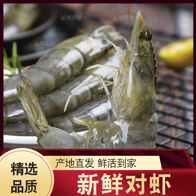 深底上放着新鲜对虾