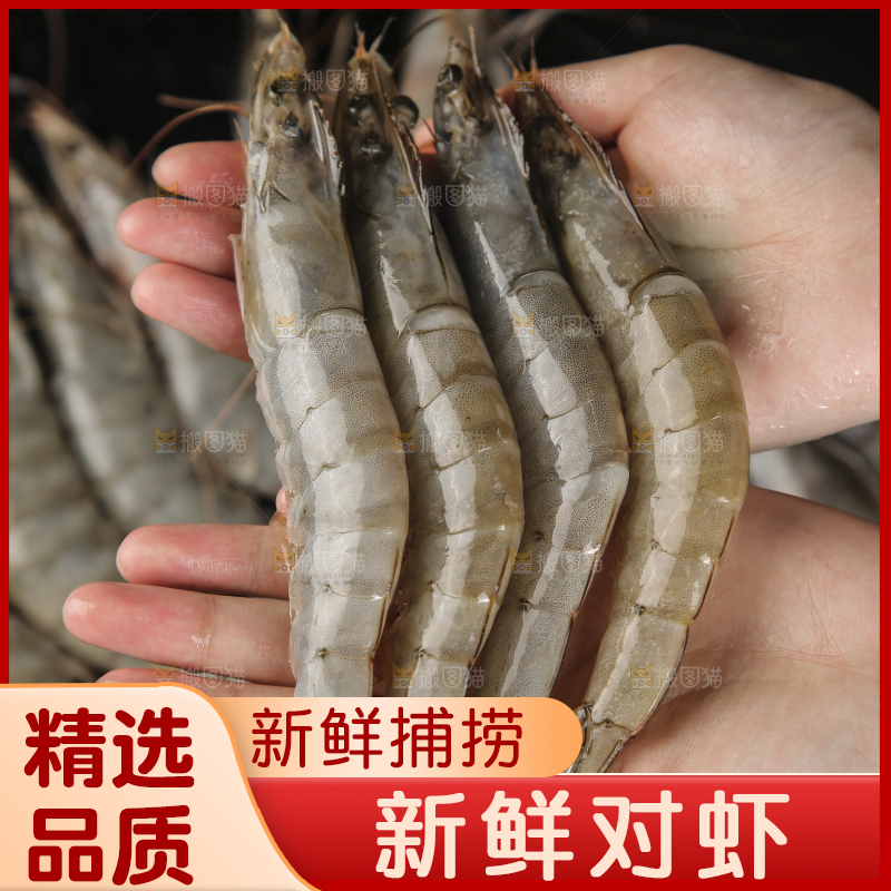手上拿着南美对虾
