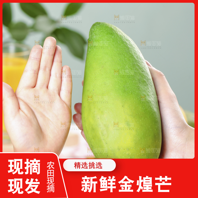 手上拿着金煌芒