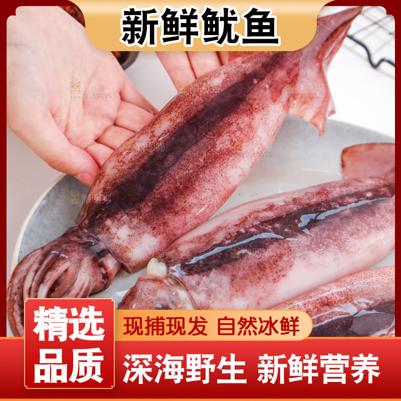 手上拿着大鱿鱼