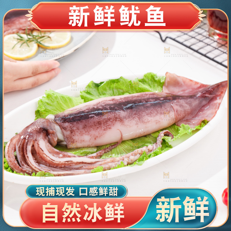 白底上放着一盘鱿鱼