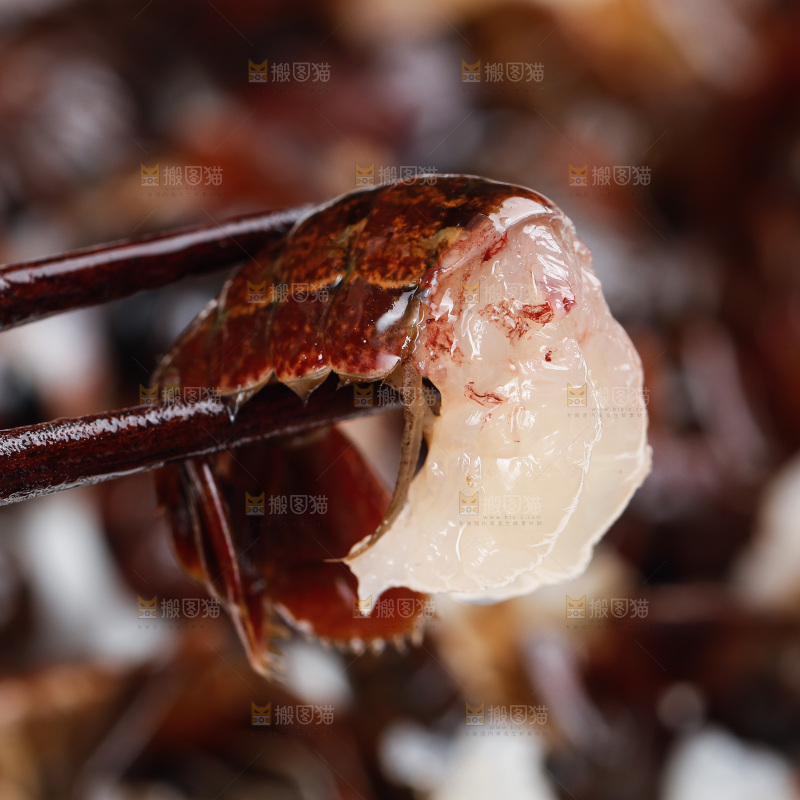 筷子夹着虾尾